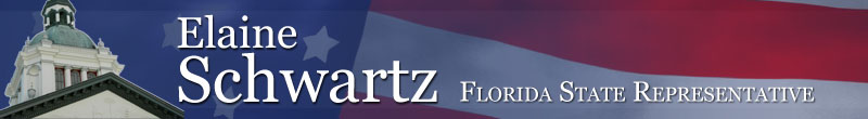 Elaine Schwartz, Florida State Representative, District 99